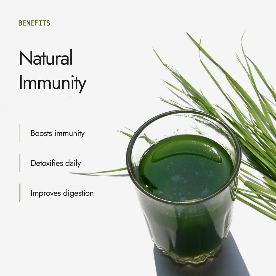 Organic Wheatgrass Powder