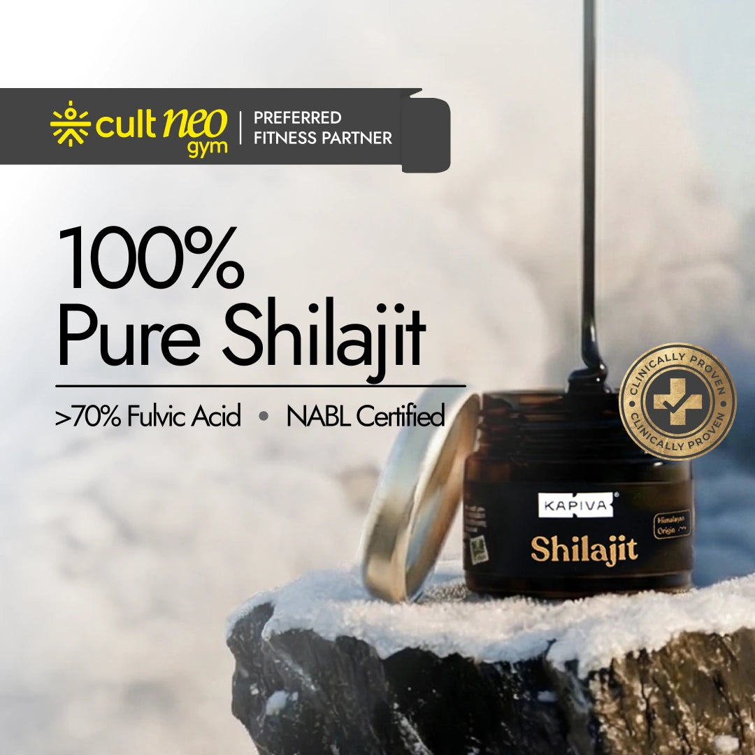 Himalayan Shilajit Resin