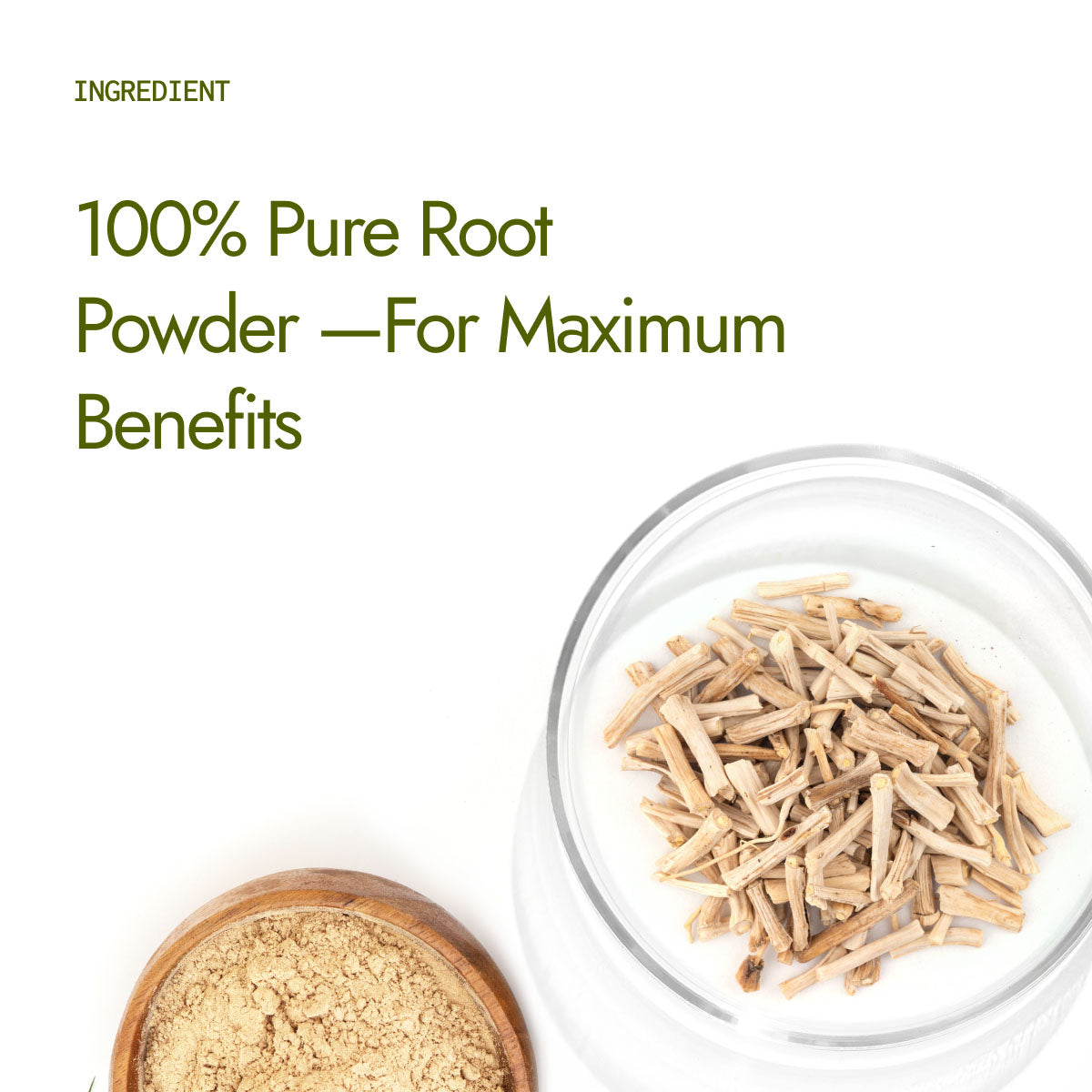 Organic Shatavari Powder