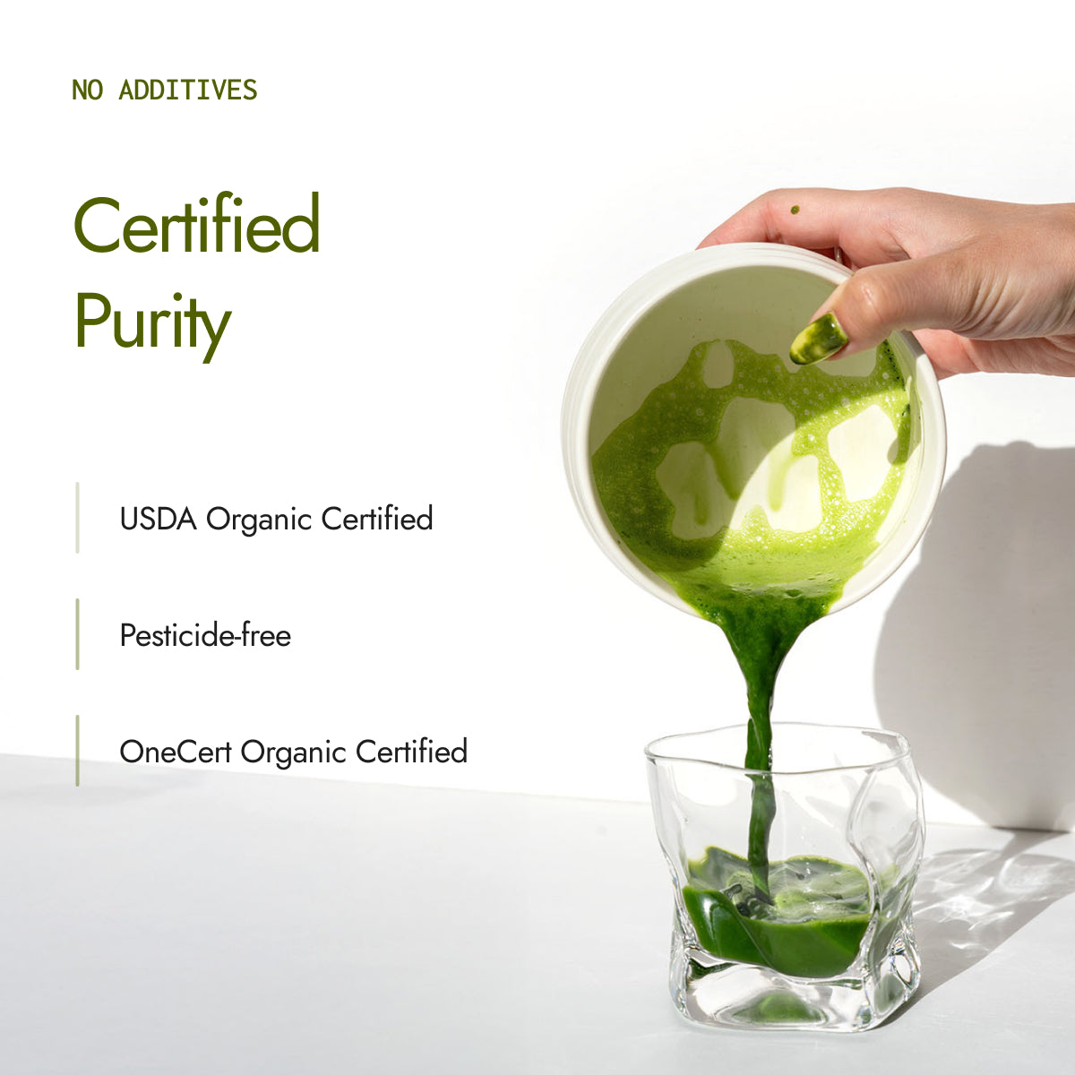 Moringa Powder
