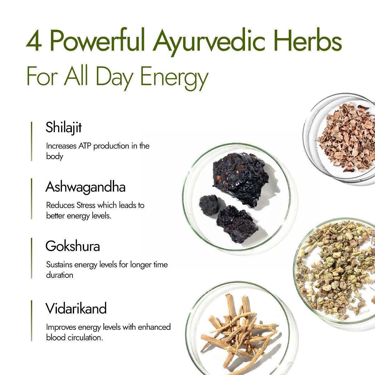 Shilajit Energy Resin