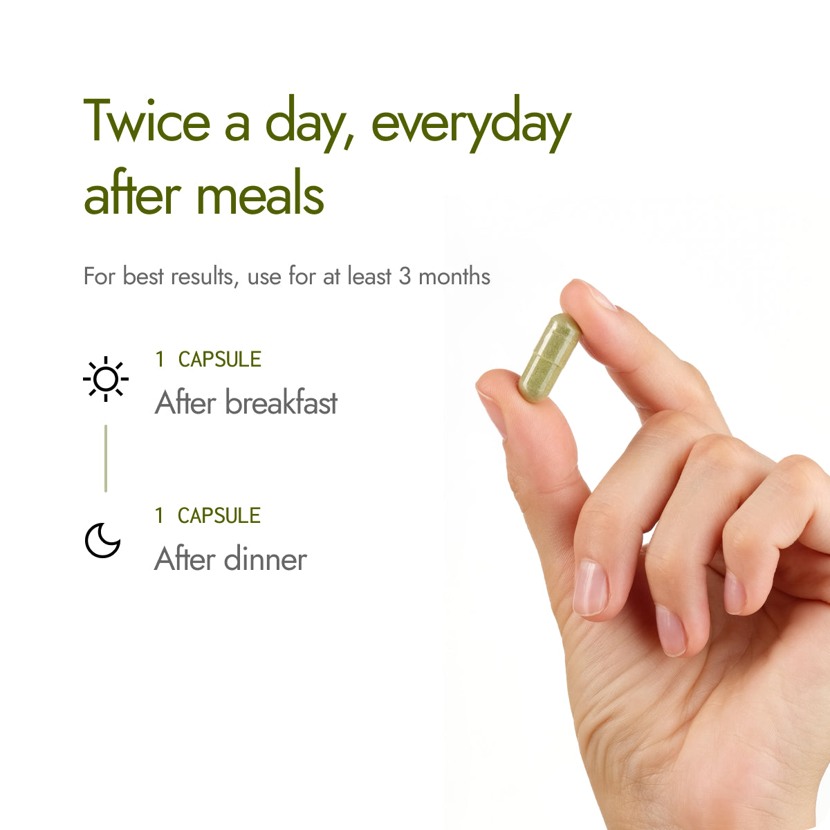 Cholest Fit Capsules - Maintains Healthy Cholesterol