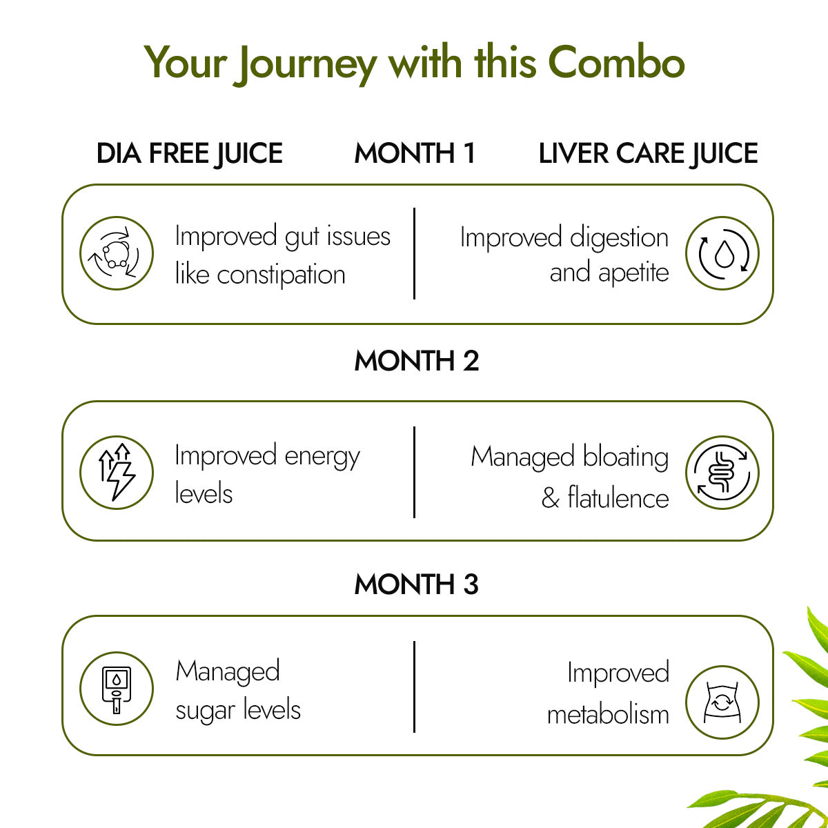 Dia Free Juice & Liver Care Juice Combo