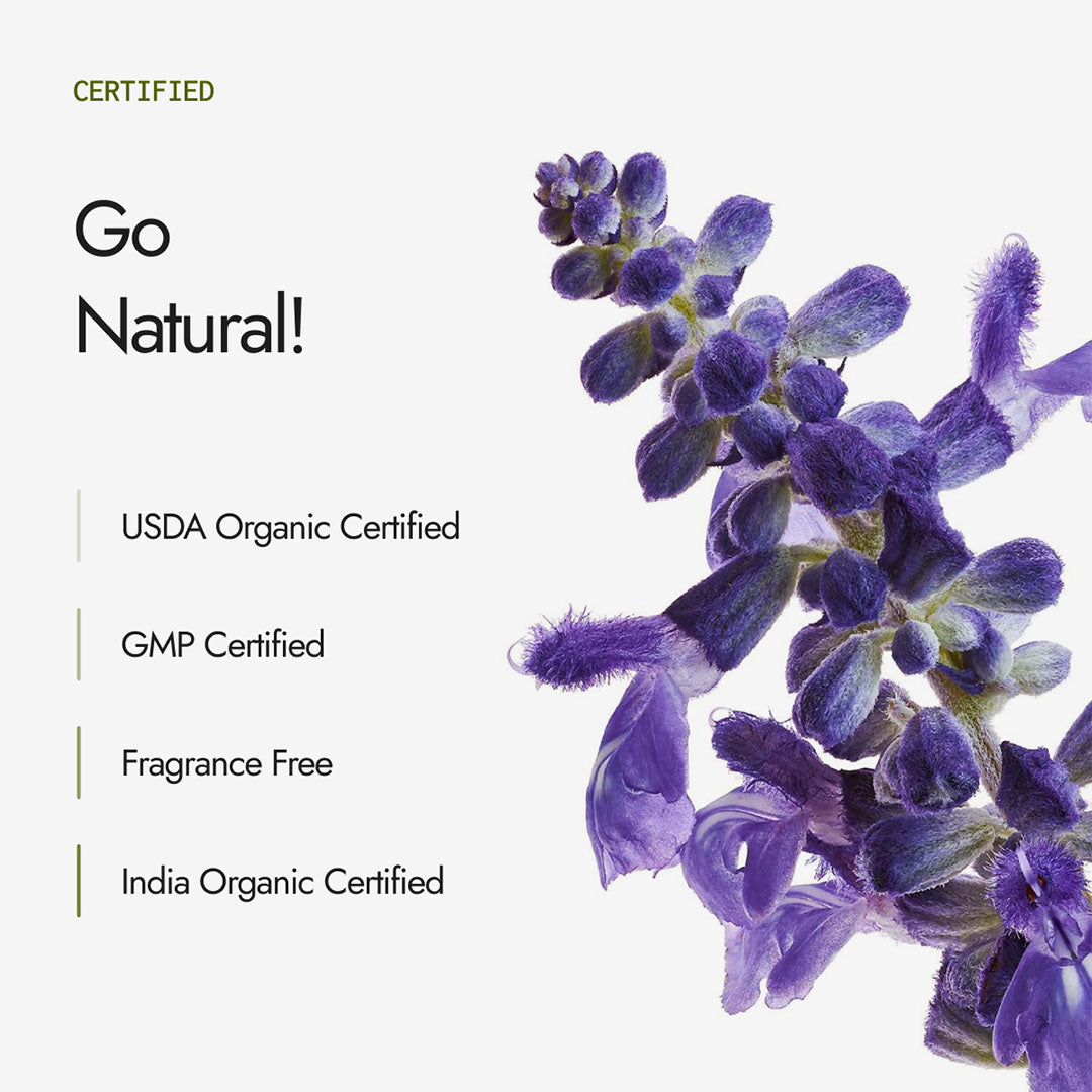 Organic Indigo Powder