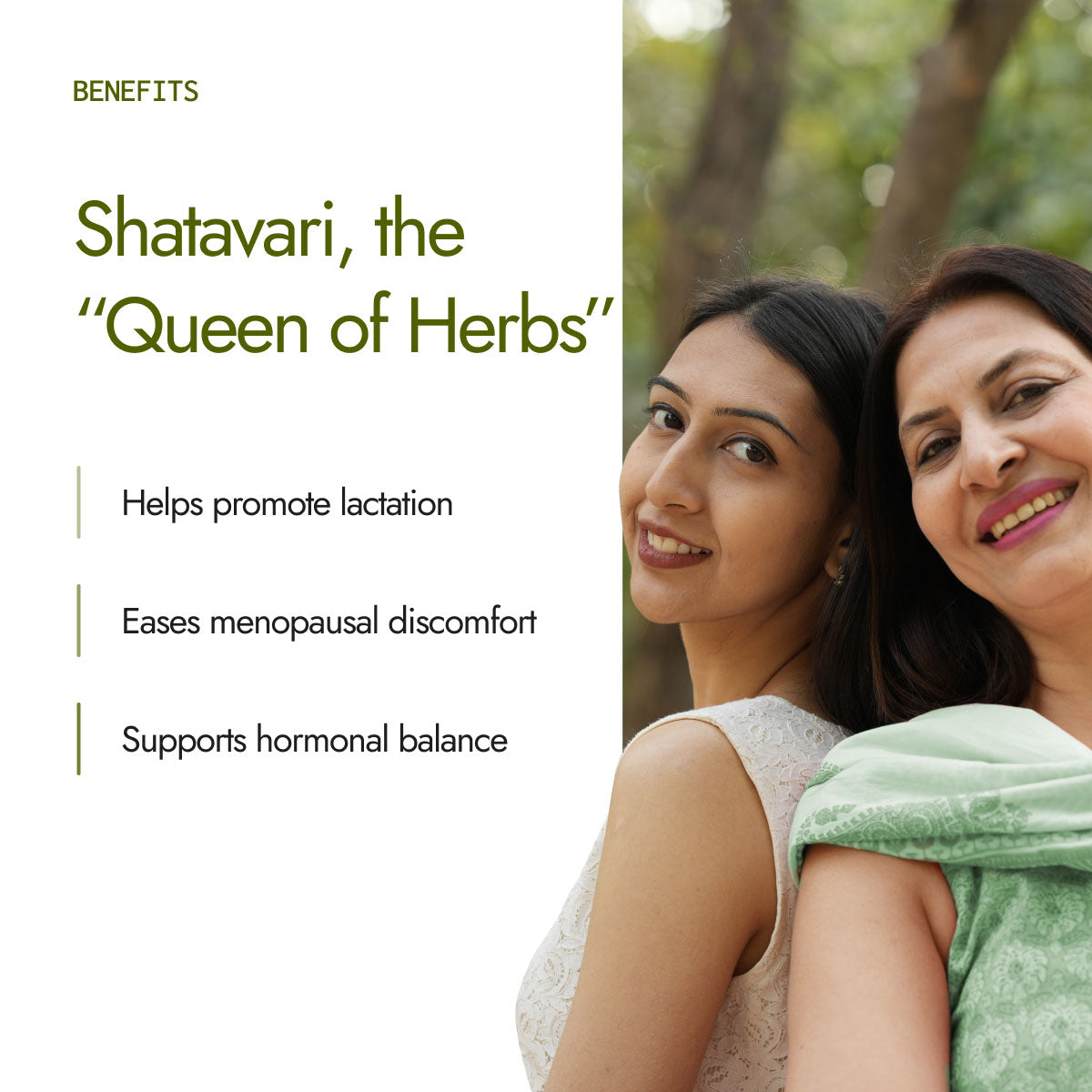 Organic Shatavari Powder