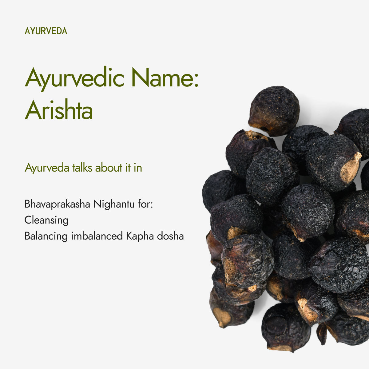 Organic Reetha Powder
