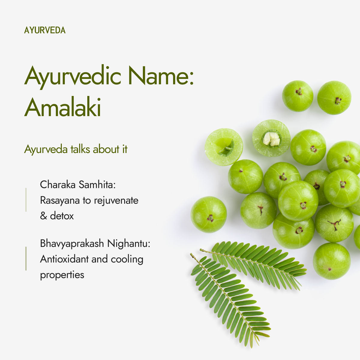 Organic Amla Powder