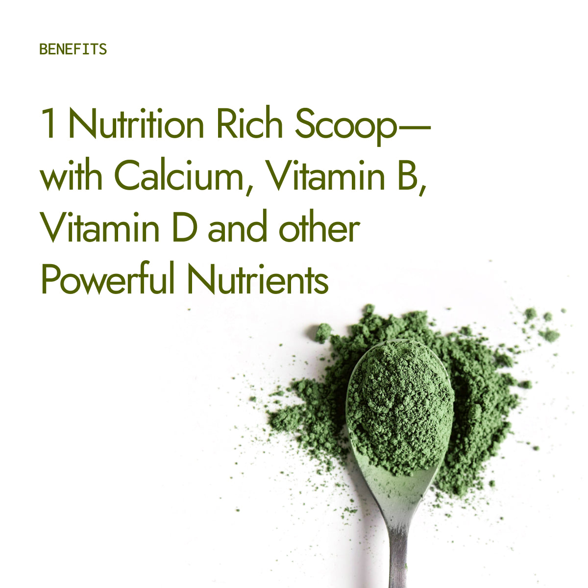 Moringa Powder