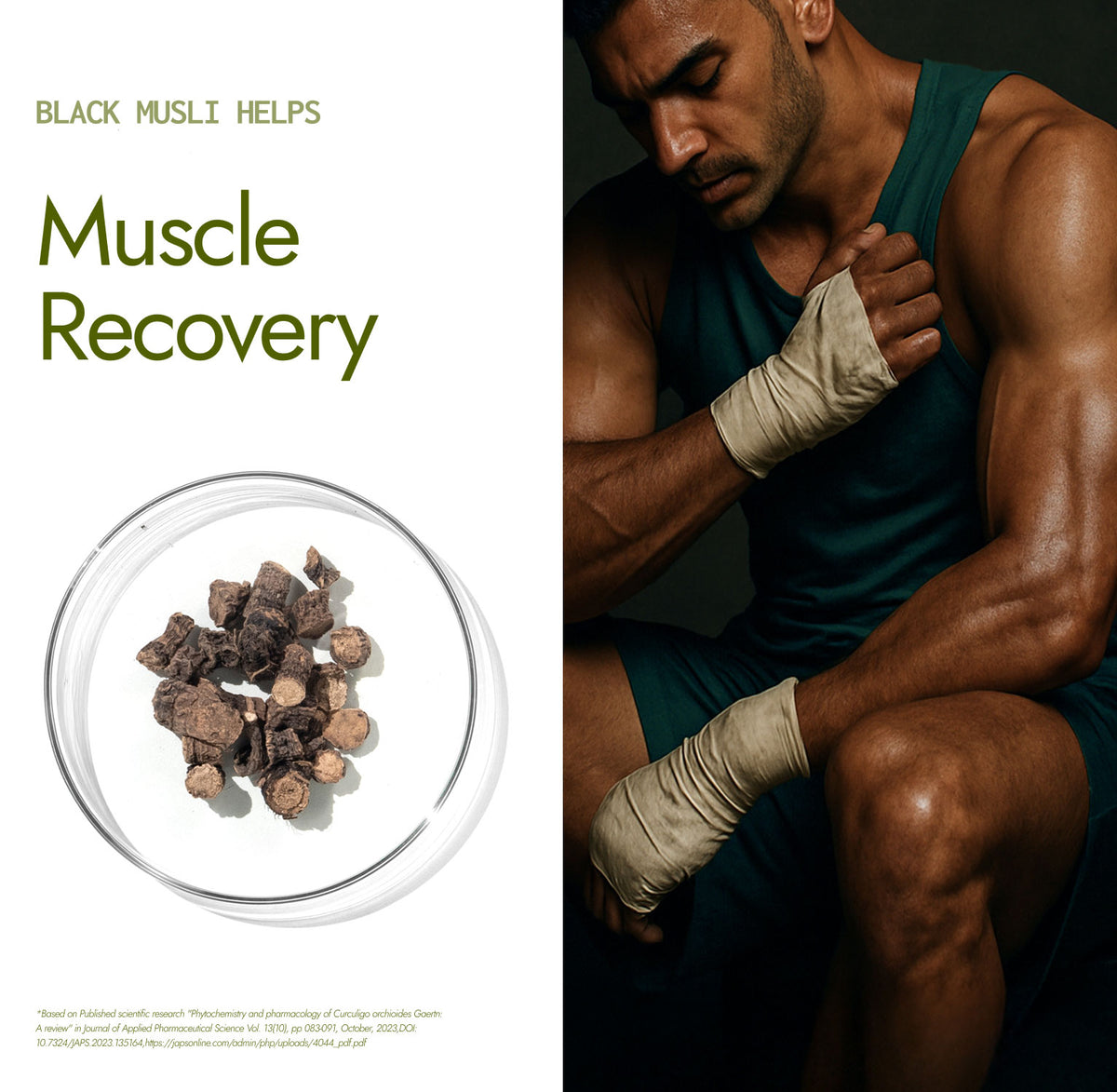 Shilajit Gold Mix - Natural Preworkout (Coffee Flavour)