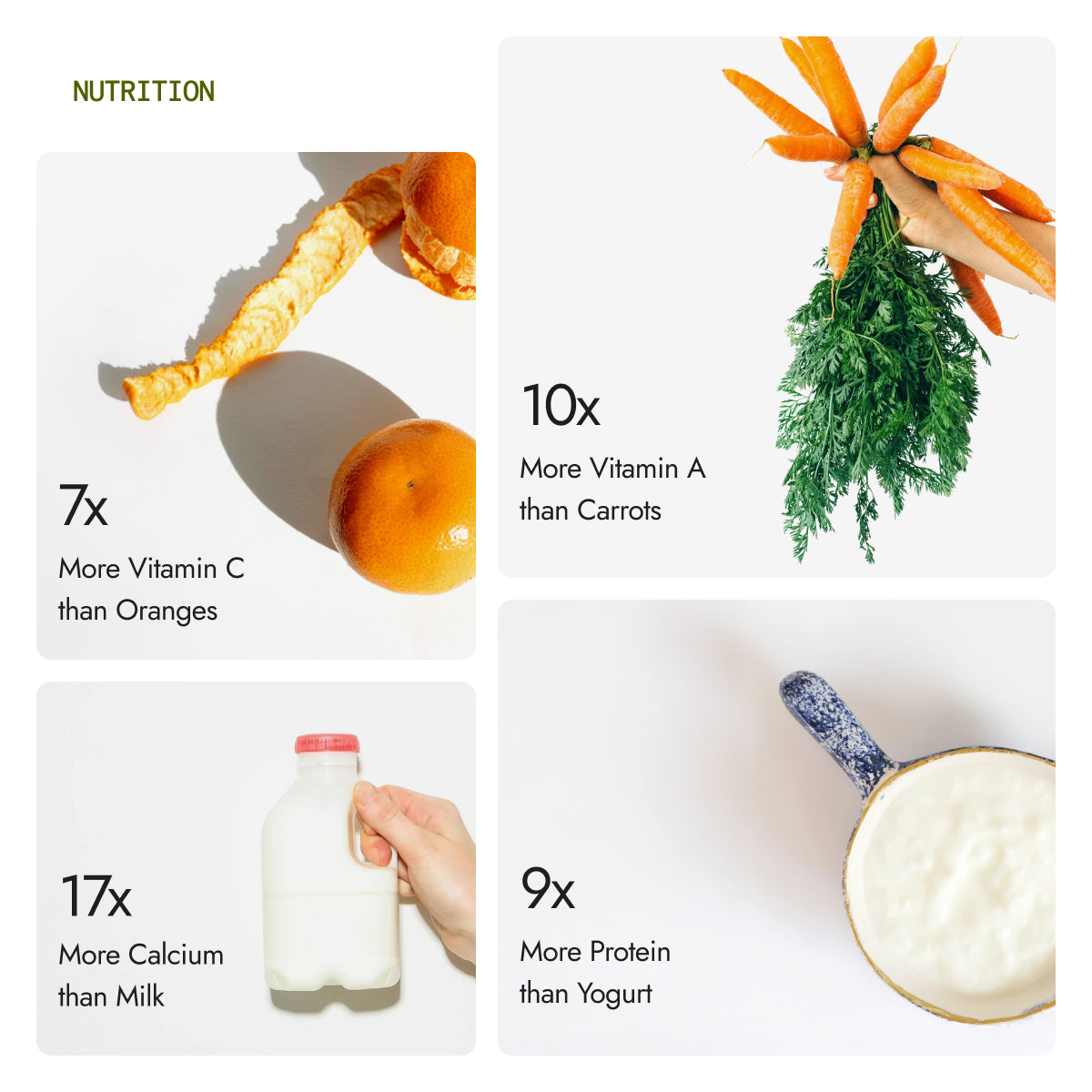 Moringa Powder