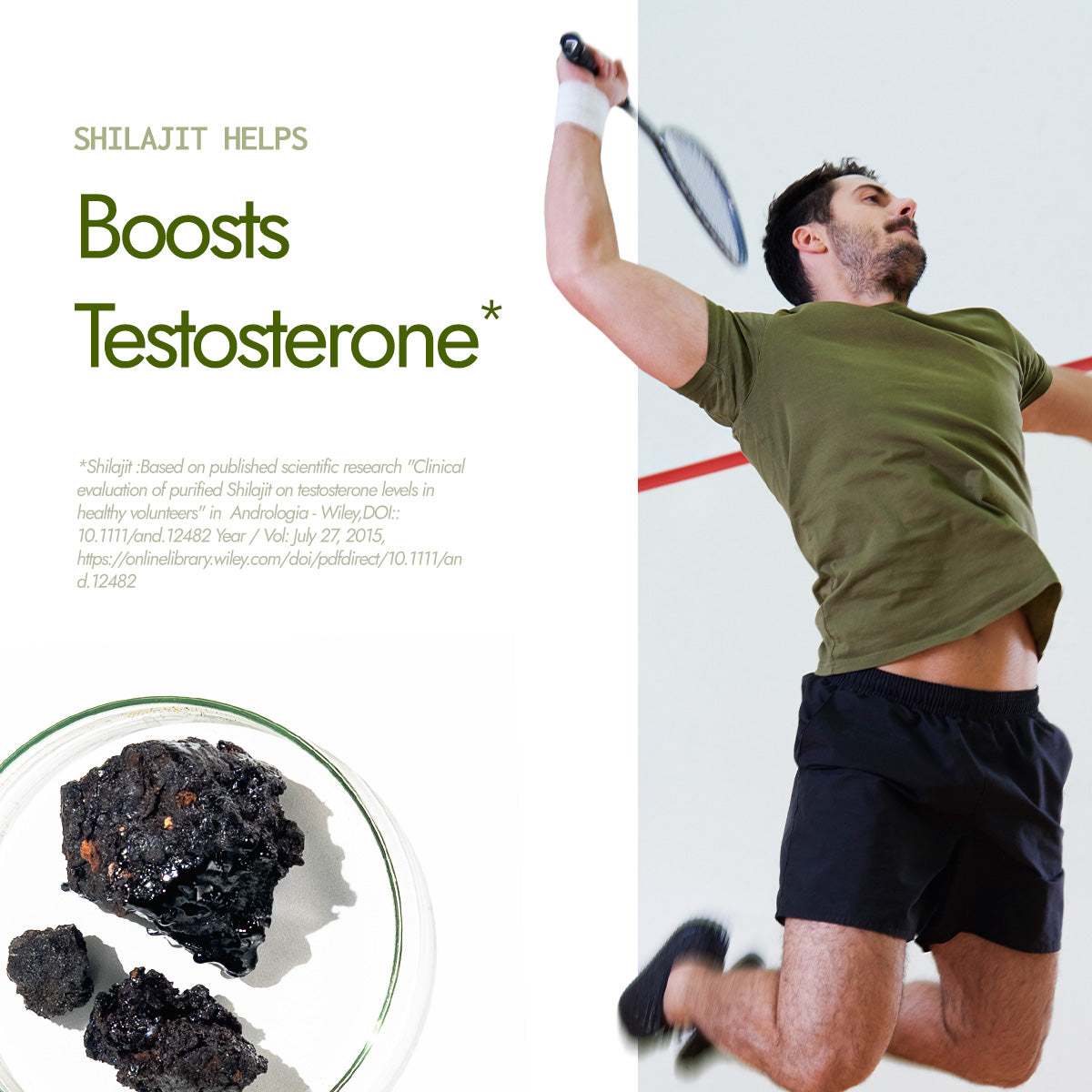 Shilajit Energy Resin