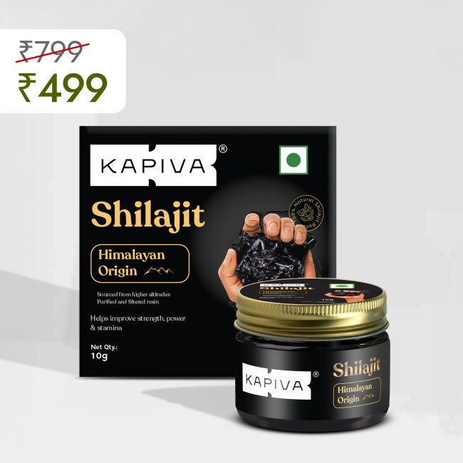 Shilajit Resin 10g