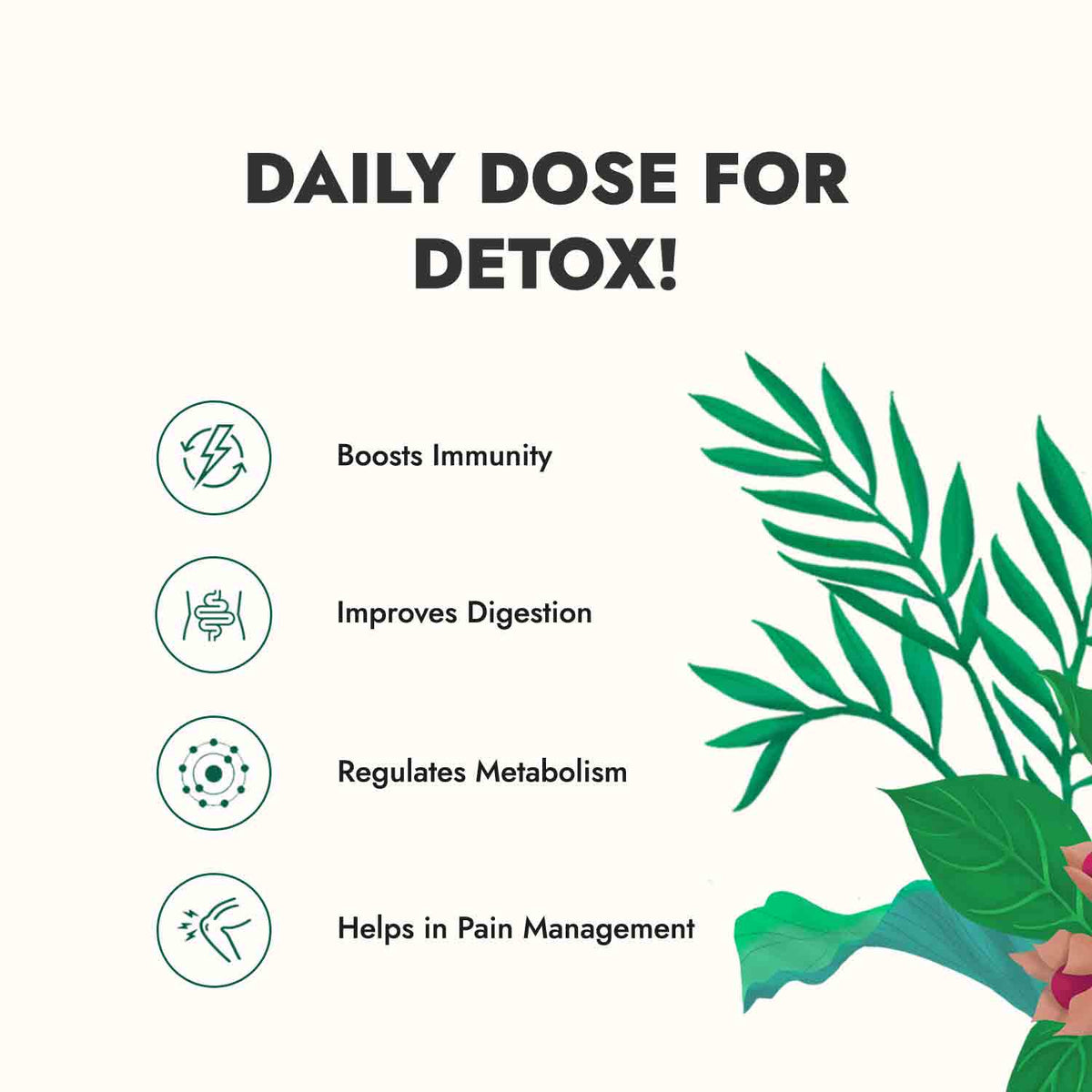 Daily Detox Combo