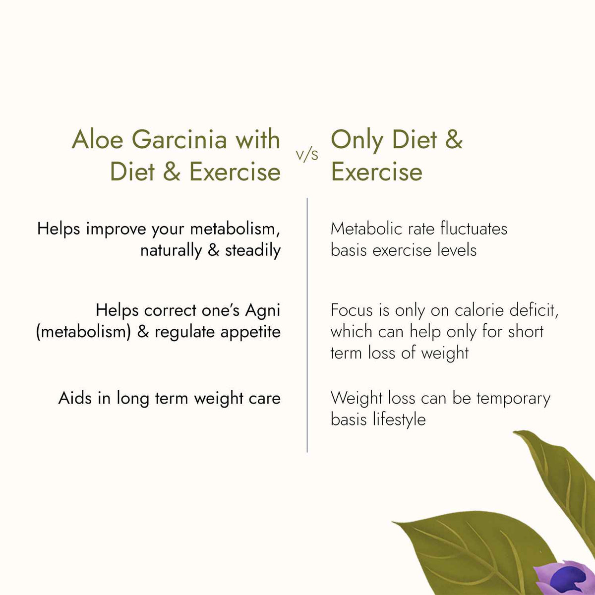 Aloe Garcinia Juice (Metabolism Booster)