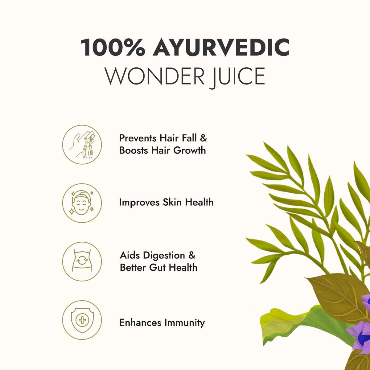 Wild Amla Juice