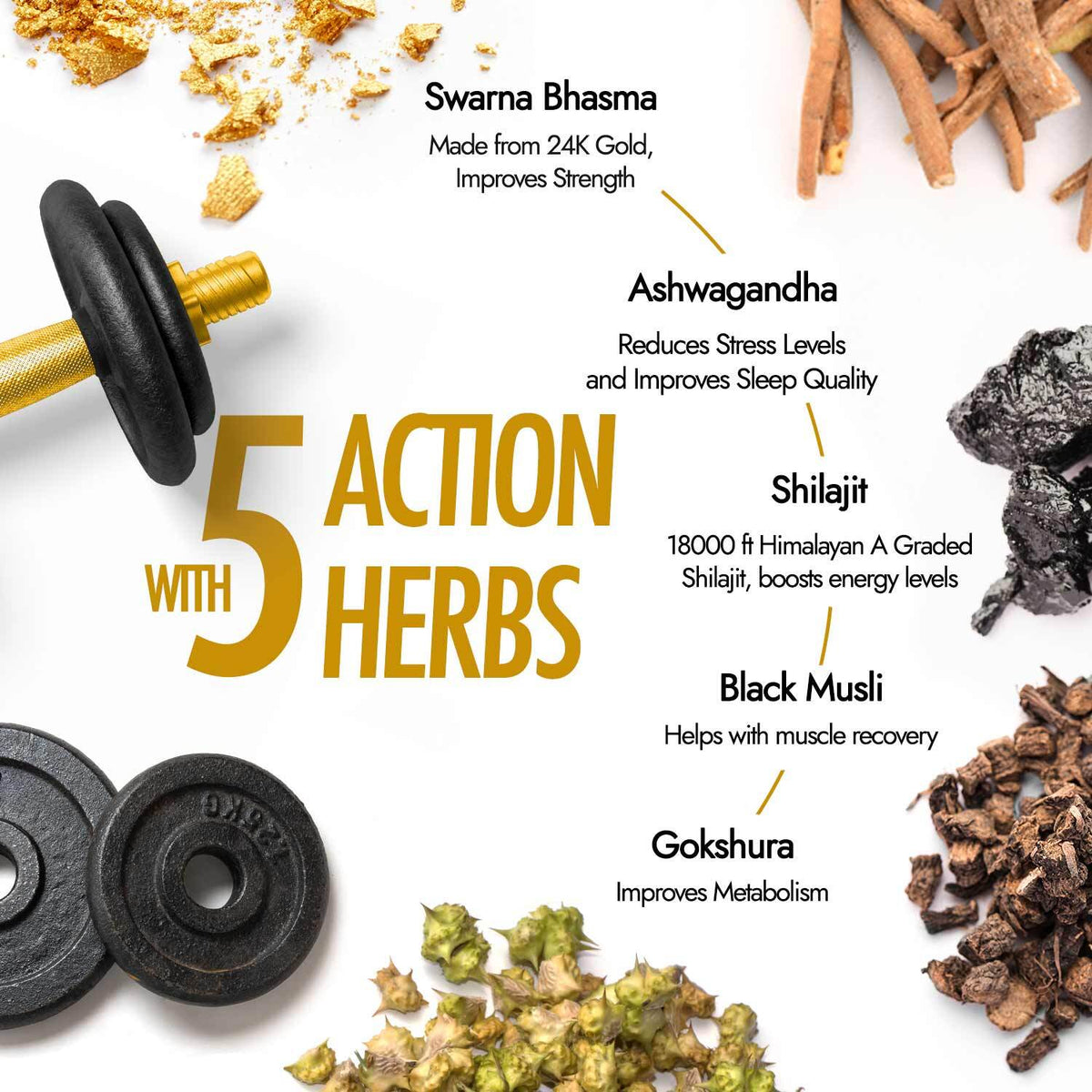 Shilajit gold resin 40g