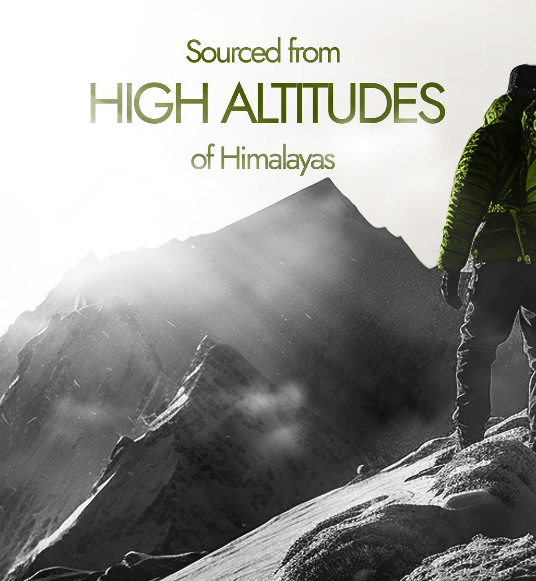 Shilajit Energy Capsules