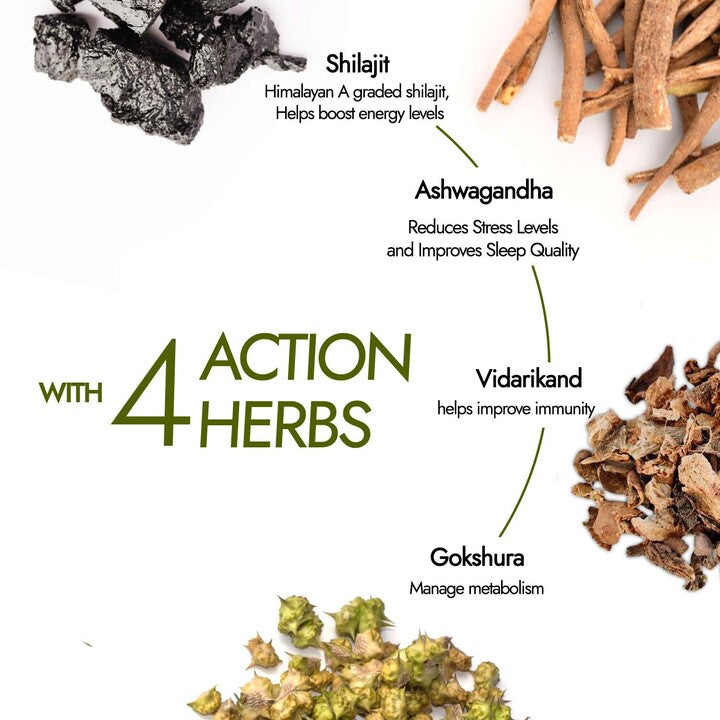Shilajit Energy Capsules