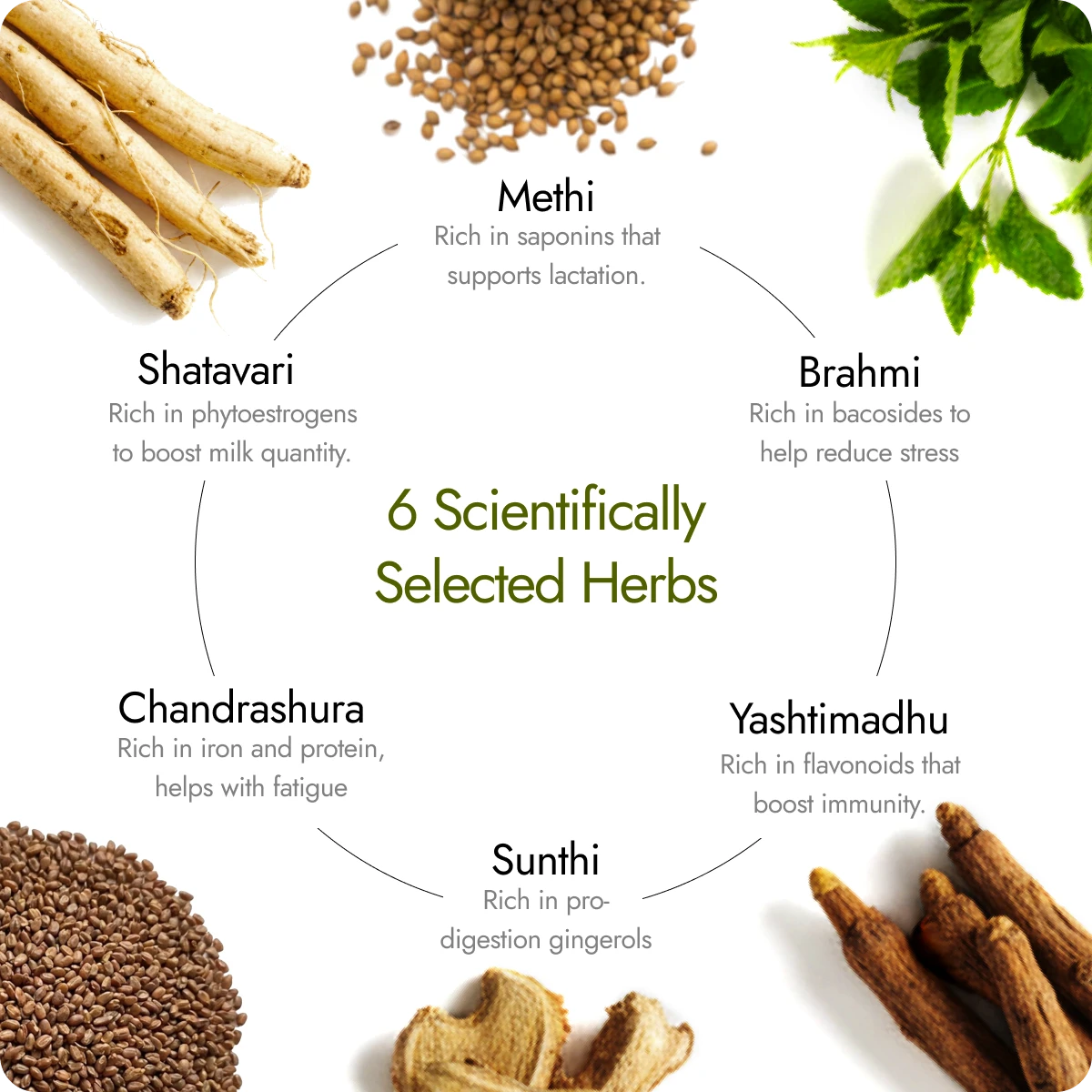 Shatavari Lacta Naturals