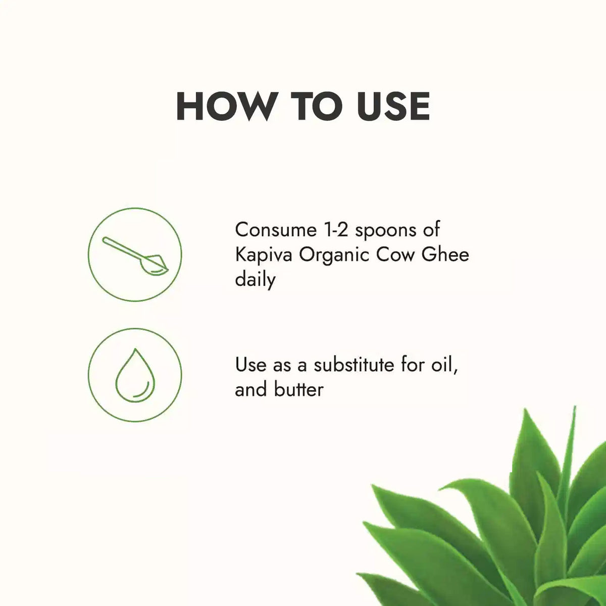 Organic Cow Ghee