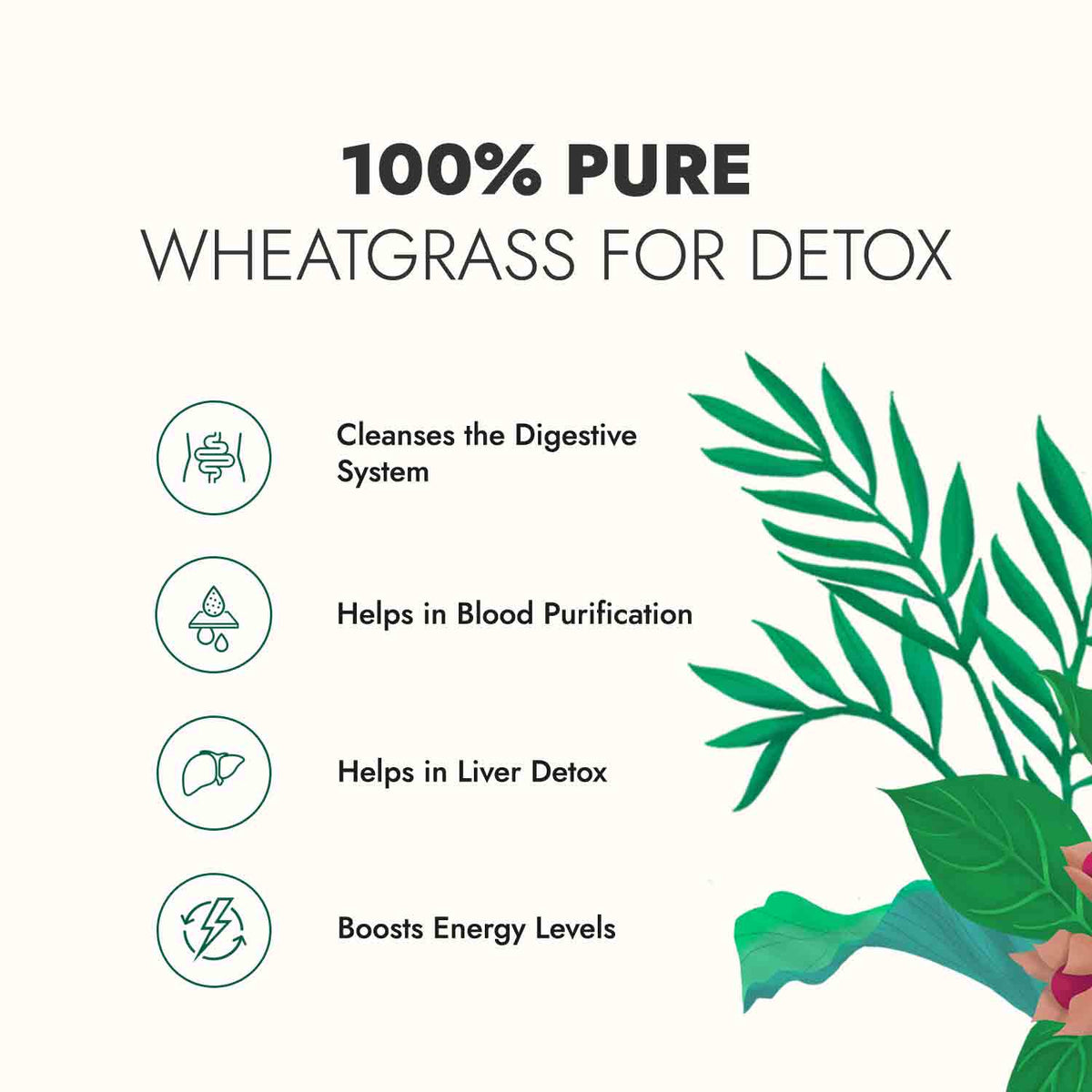 Wheat Grass Juice