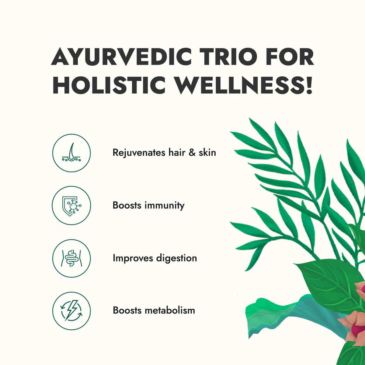 Wholesome Wellness Combo
