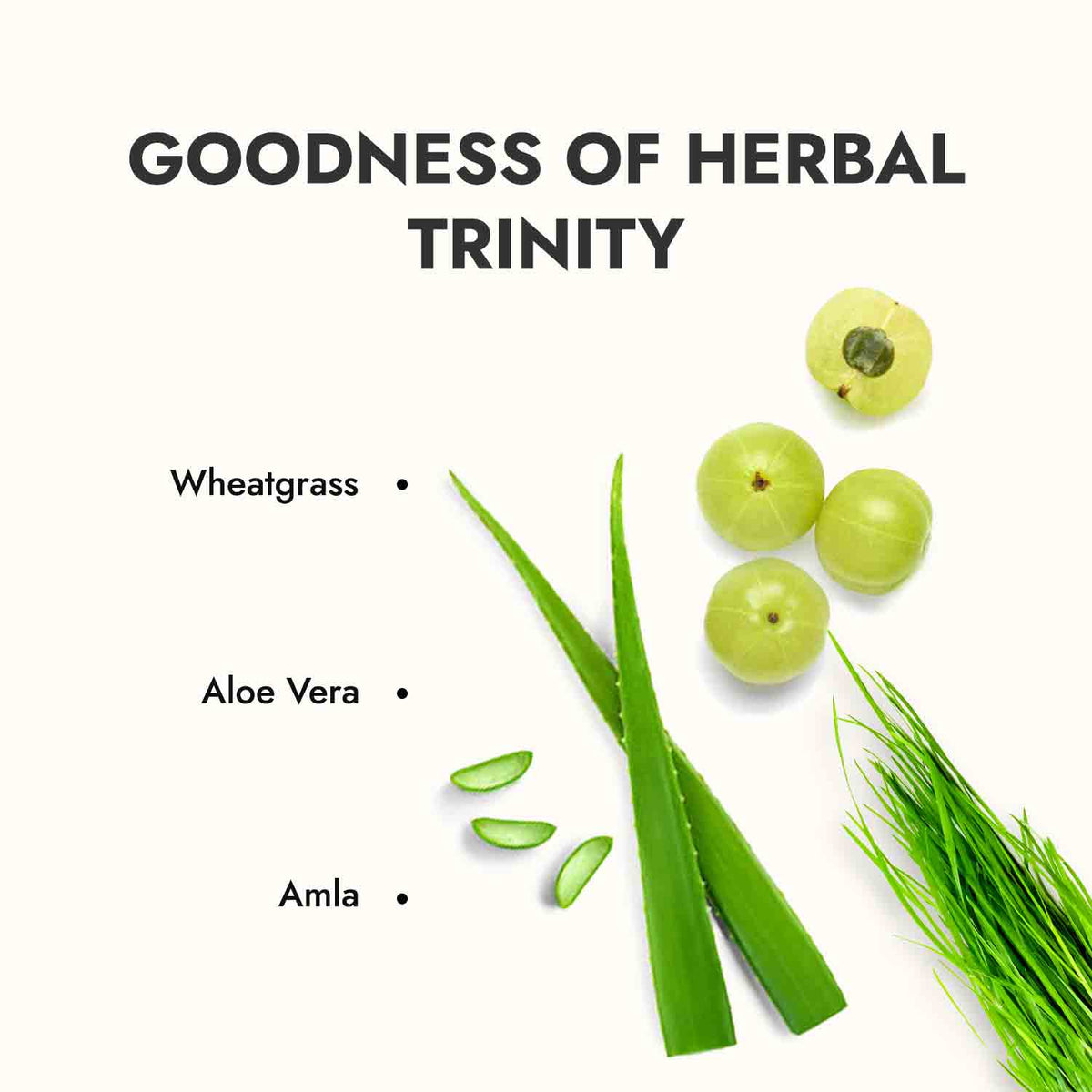 Wholesome Wellness Combo