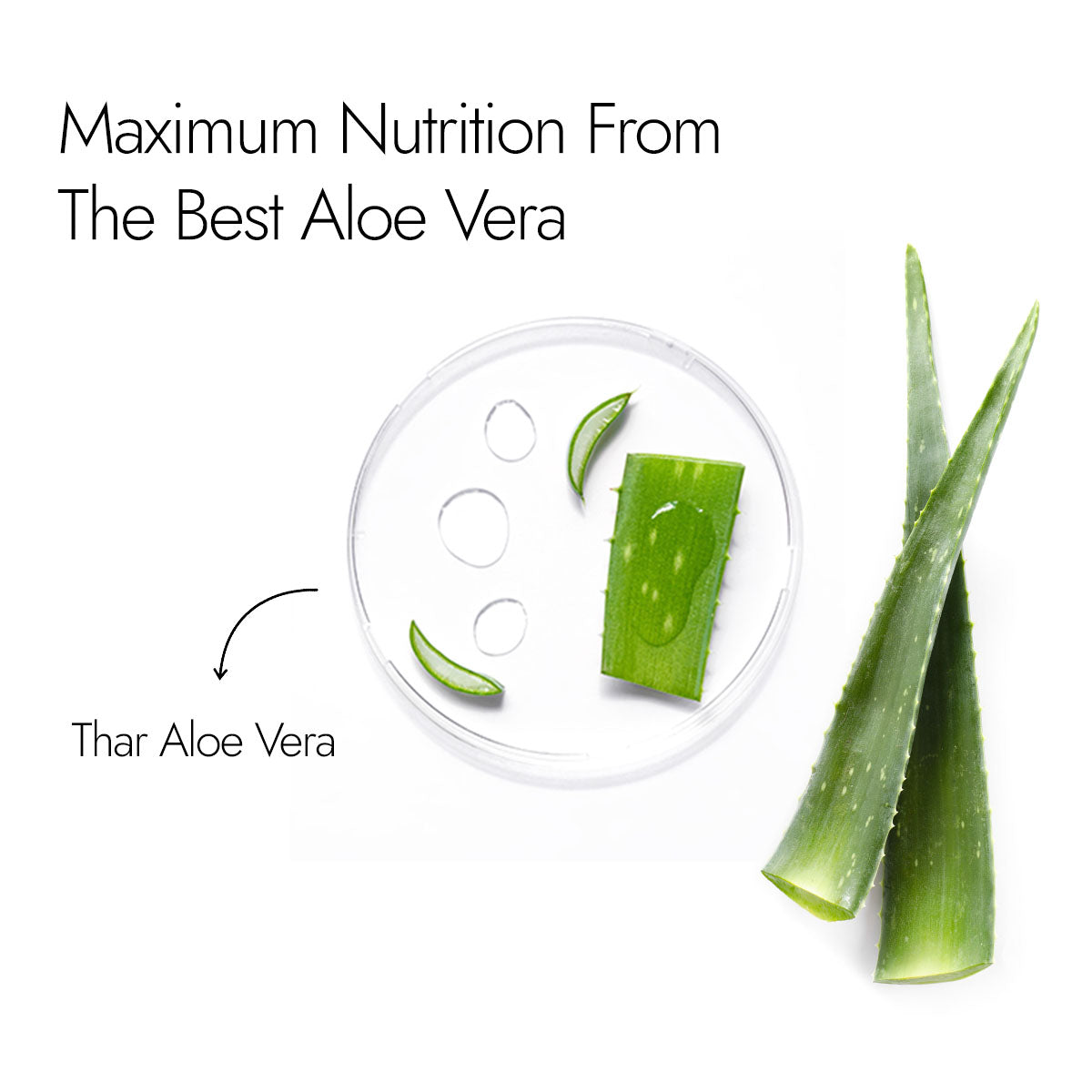 Aloe Vera Skin Gel 500GMS