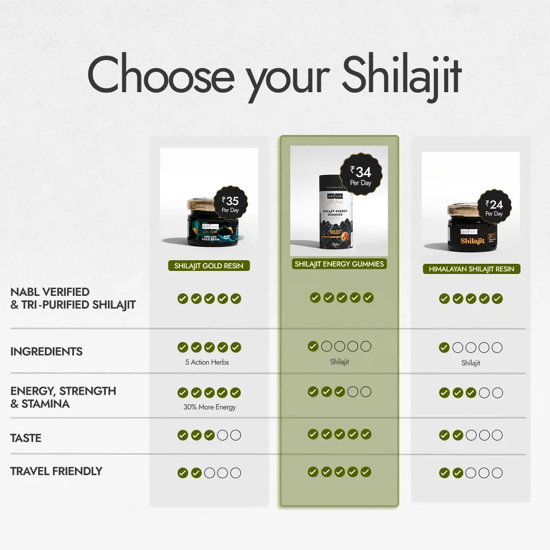 Shilajit Energy Gummies